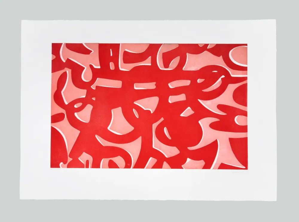 Água-Forte E Água-Tinta Accardi - La ricerca del colore (F)