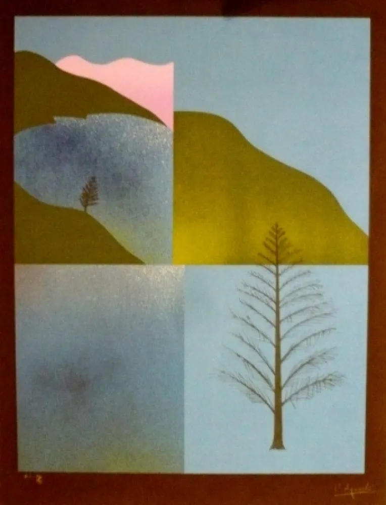 Serigrafia Aguade - Analitica 8