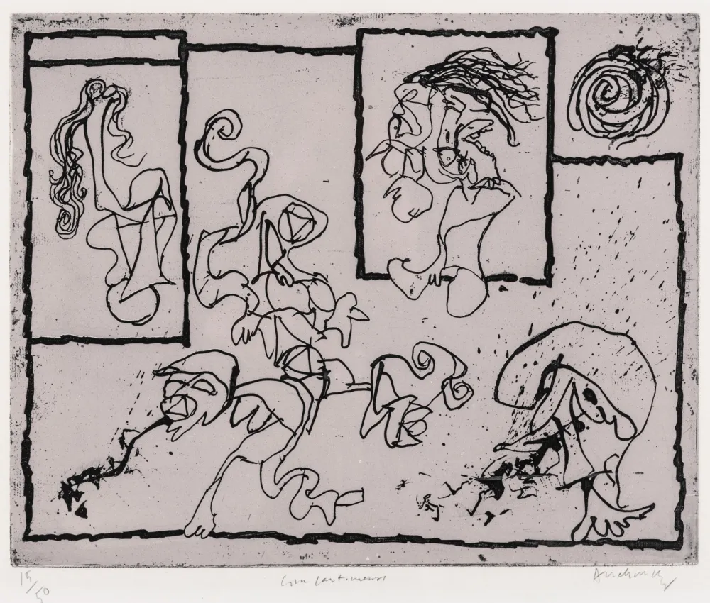 Água-Forte Alechinsky - Compartiments