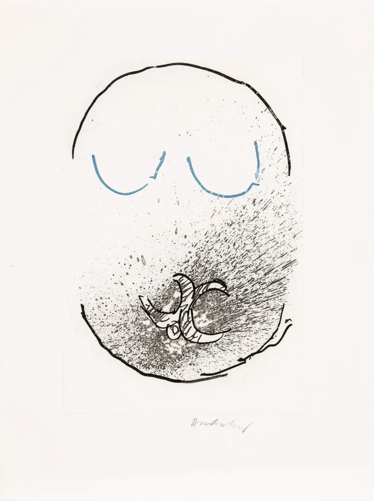 Água-Forte E Água-Tinta Alechinsky - Pointes Planche IX bis