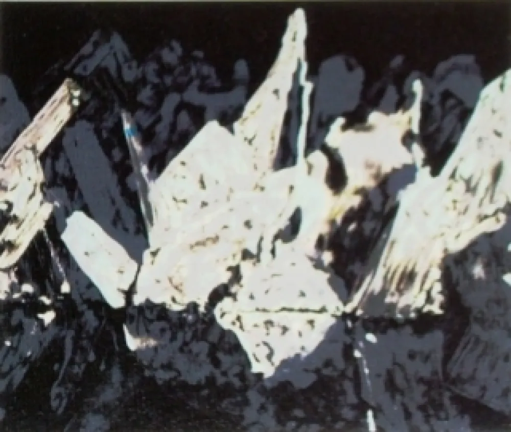 Litografia Alexander - Sans titre