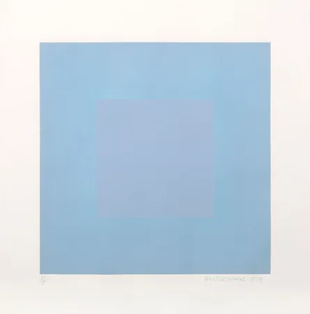 Água-Tinta Anuszkiewicz - Winter Suite (Light Blue with Light Blue)