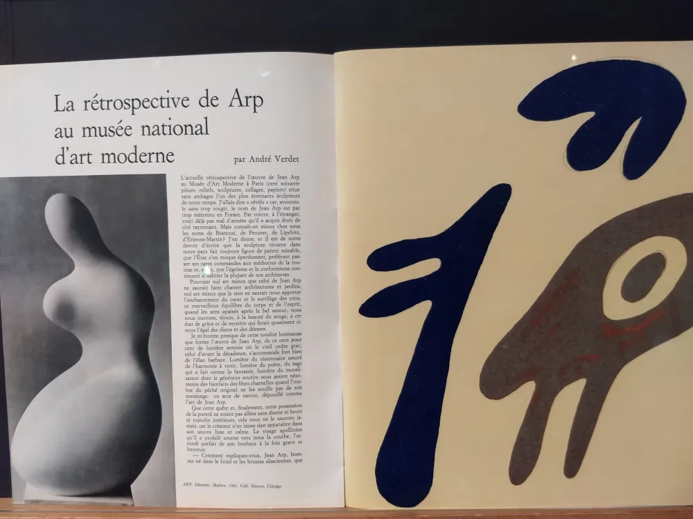 Livro Ilustrado Arp - Xxe No 19