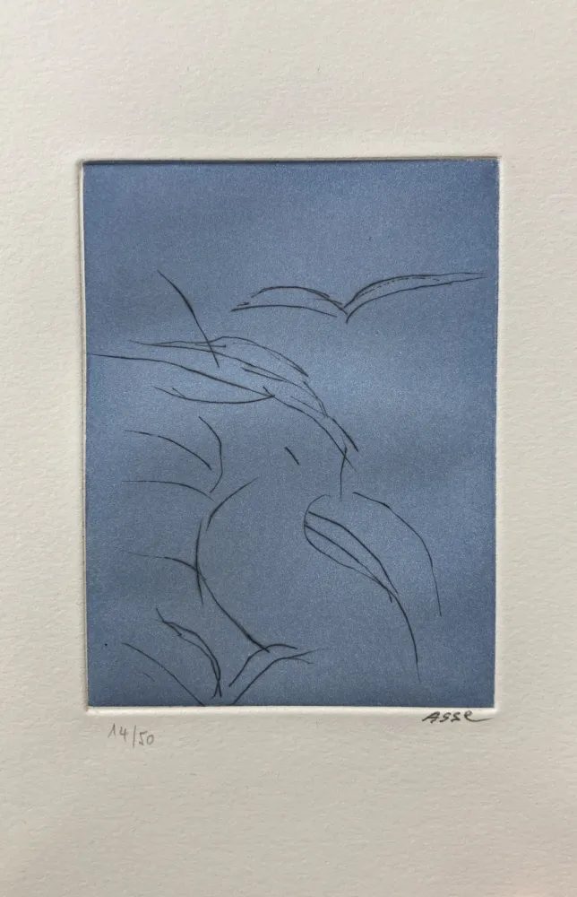 Livro Ilustrado Asse - Notes sur Thème. 9 pointes sèches. 