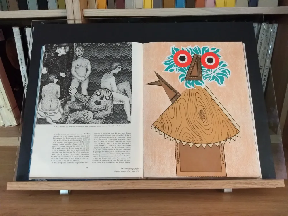 Livro Ilustrado Baj - No 44