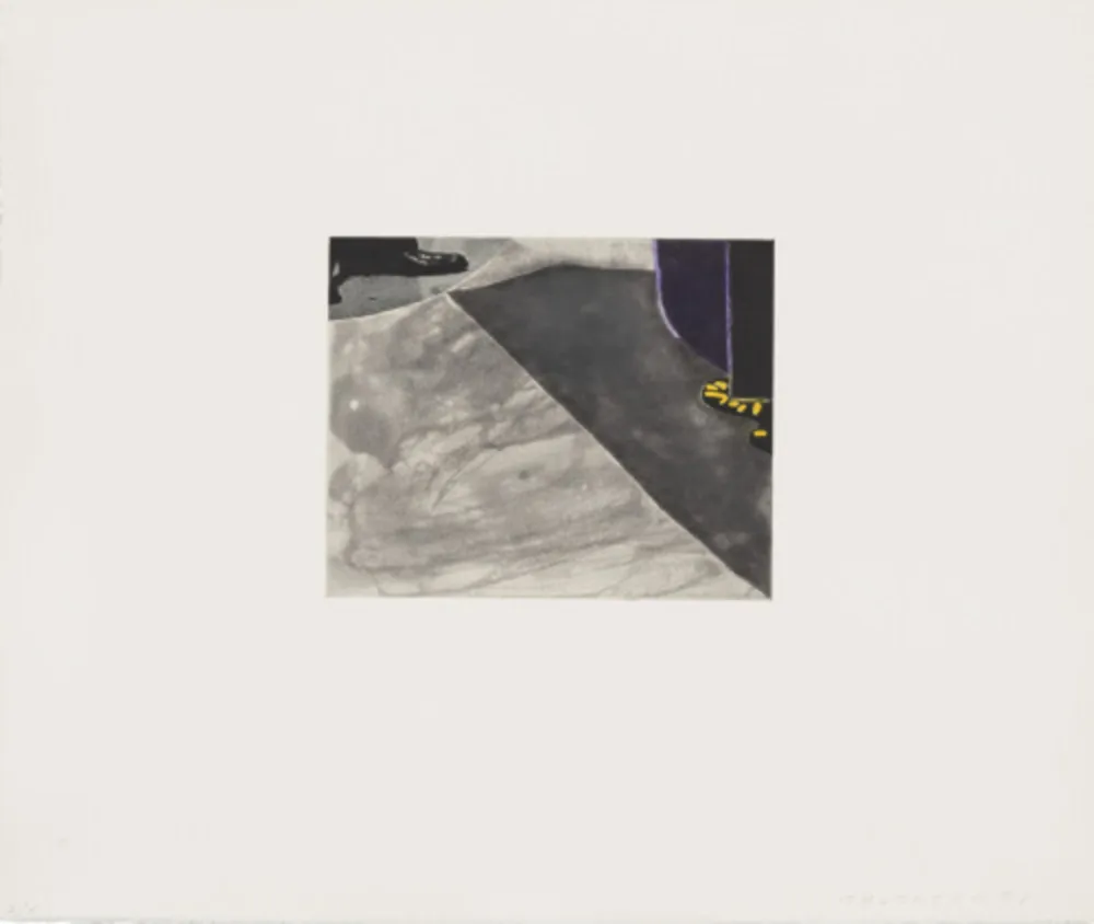 Água-Forte E Água-Tinta Baldessari - Black Dice 7