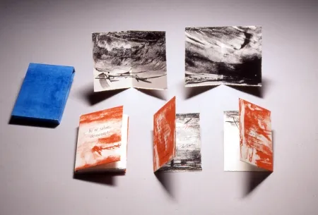 Litografia Baltazar - Je te salue démente!