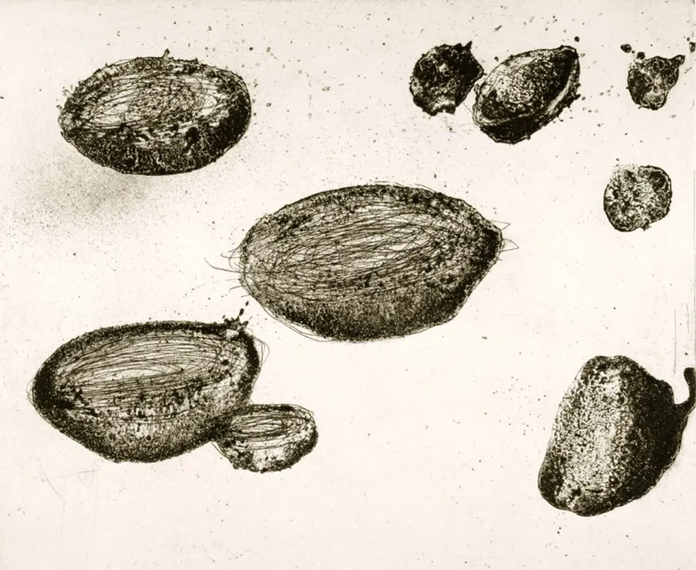 Água-Forte E Água-Tinta Barcelo - Lanzarote 22