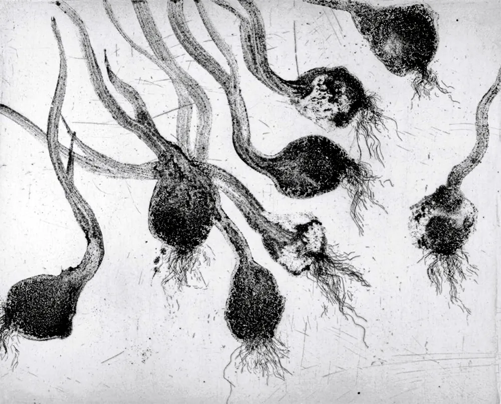 Água-Forte E Água-Tinta Barcelo - Lanzarote 24