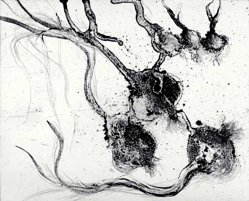 Gravura Barcelo - Lanzarote 25