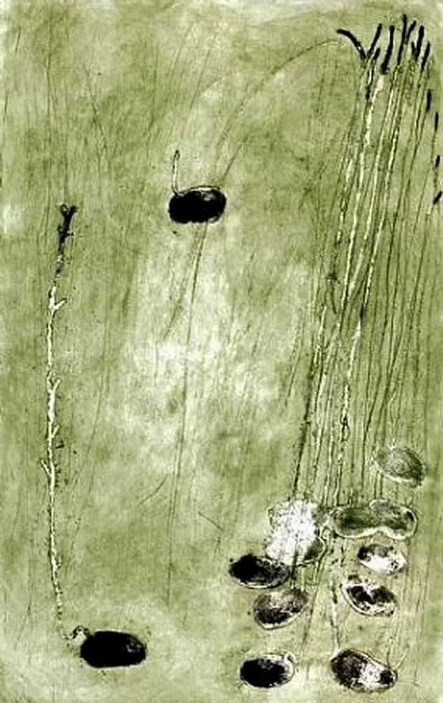 Água-Forte Barcelo - Les Germes