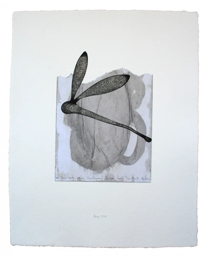 Múltiplo Baroja-Collet - Collage