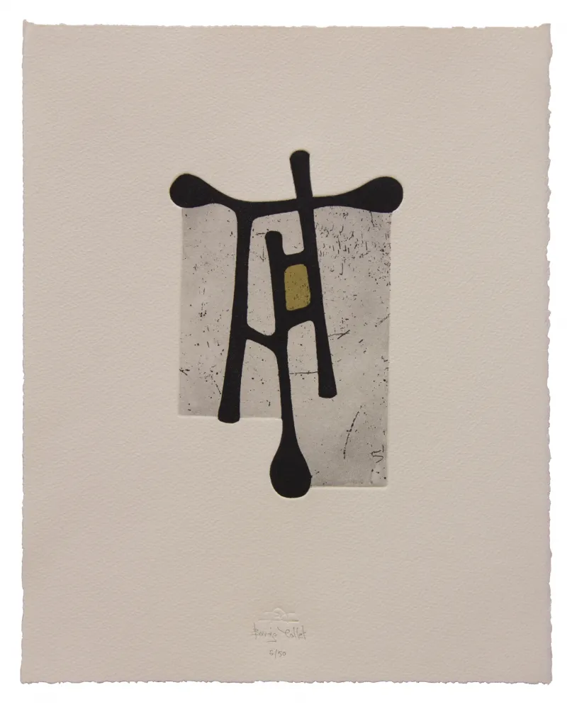 Água-Forte E Água-Tinta Baroja-Collet - Contraseña