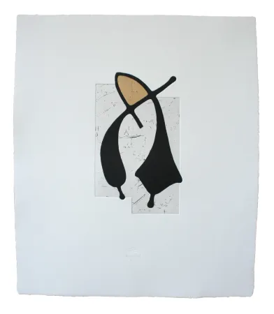 Água-Forte E Água-Tinta Baroja-Collet - Dantzatzen