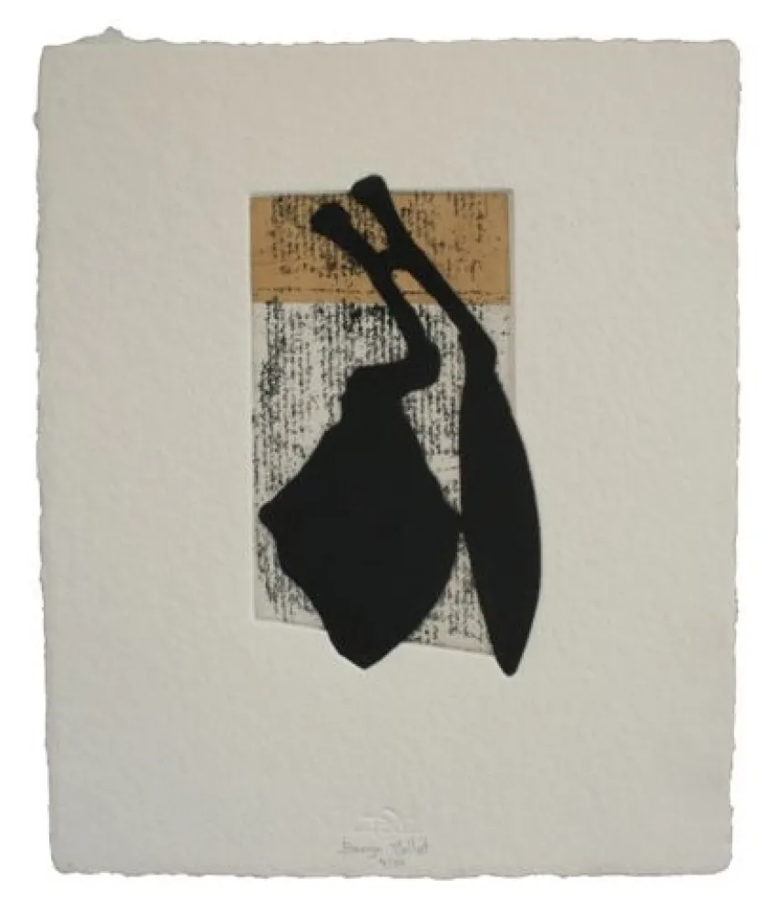 Água-Forte E Água-Tinta Baroja-Collet - Laia