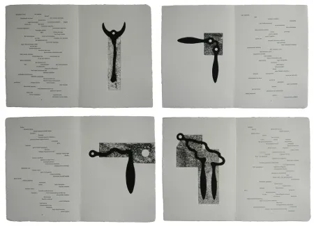 Livro Ilustrado Baroja-Collet - Mallarmeren betazalak