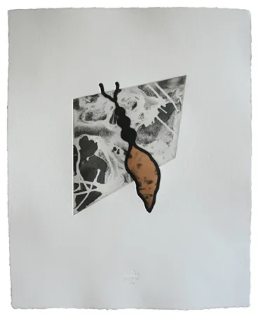 Água-Forte E Água-Tinta Baroja-Collet - Reina