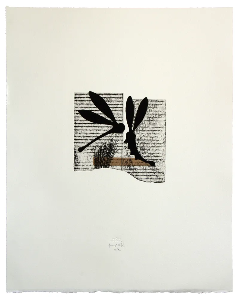 Água-Forte E Água-Tinta Baroja-Collet - Seducción