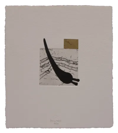 Água-Forte E Água-Tinta Baroja-Collet - Urbia III