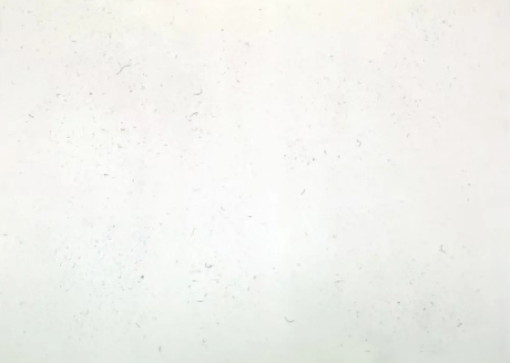 Gravura Bartolini - Dust Chaser 1