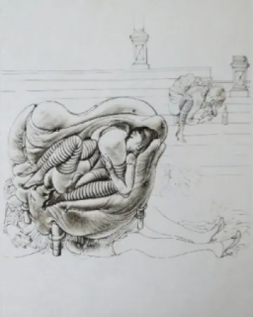 Água-Forte E Água-Tinta Bellmer - Initiation à la sexualité