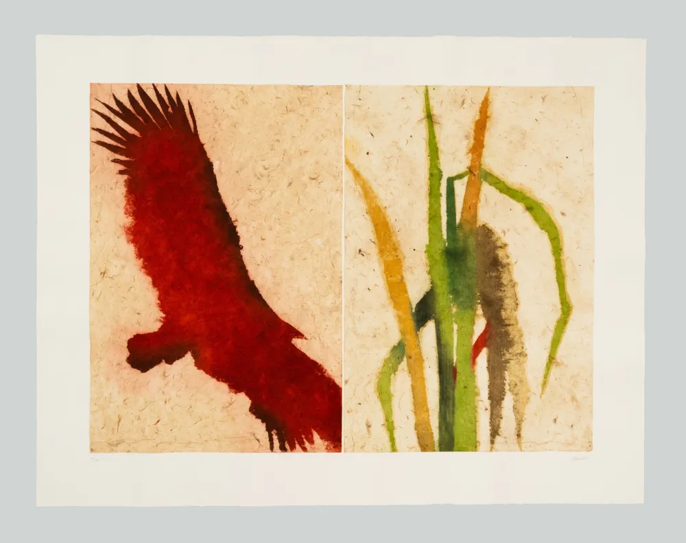 Água-Forte E Água-Tinta Benati - Baia California