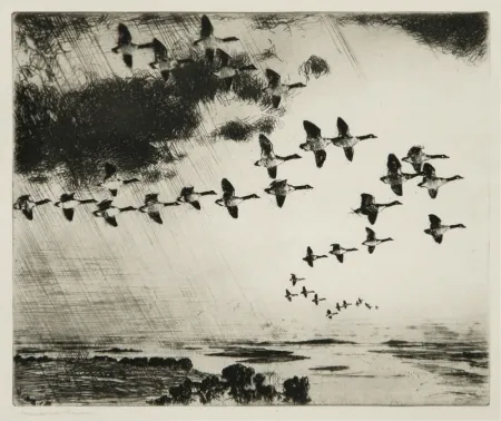 Água-Forte Benson - The Long Journey