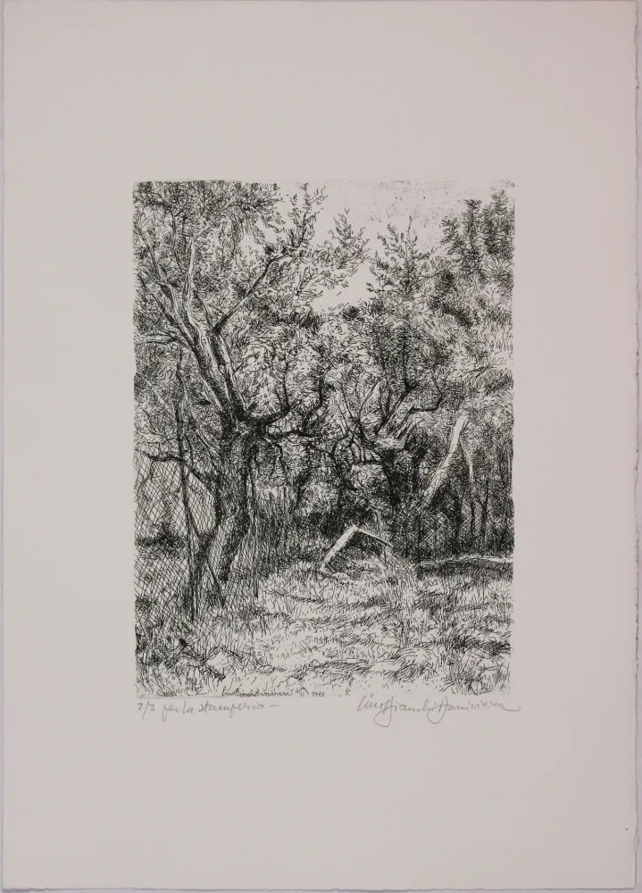 Água-Forte Bianchi Barriviera - Untitled