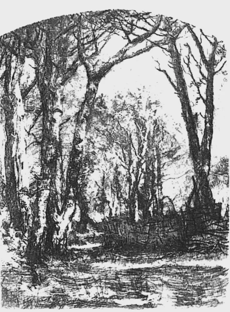 Água-Forte Bianchi - Il bosco