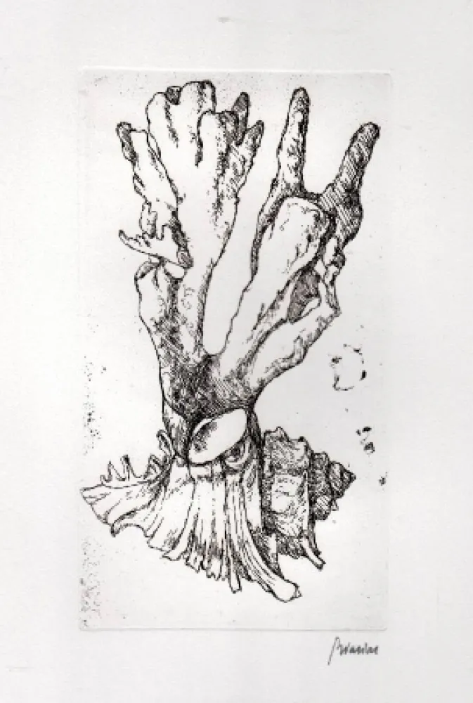 Livro Ilustrado Biasion - Venezia lontana