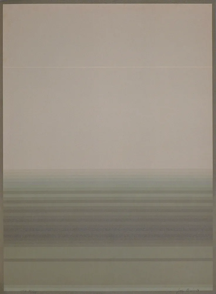 Litografia Bird - J.B.I. - 1