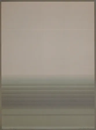 Litografia Bird - J.B.I. - 1