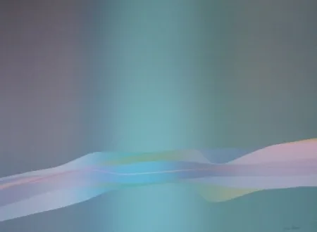 Litografia Bird - Spectre lumière 1