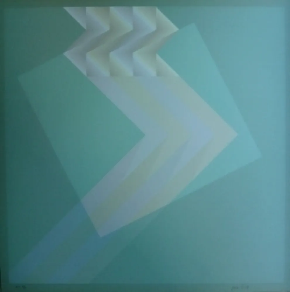 Litografia Bird - Tribute to Vasarely 13