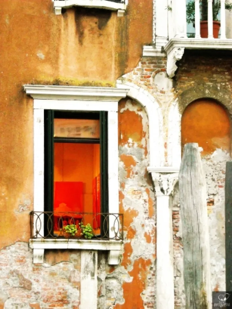 Fotografia Bohorquez - Arco