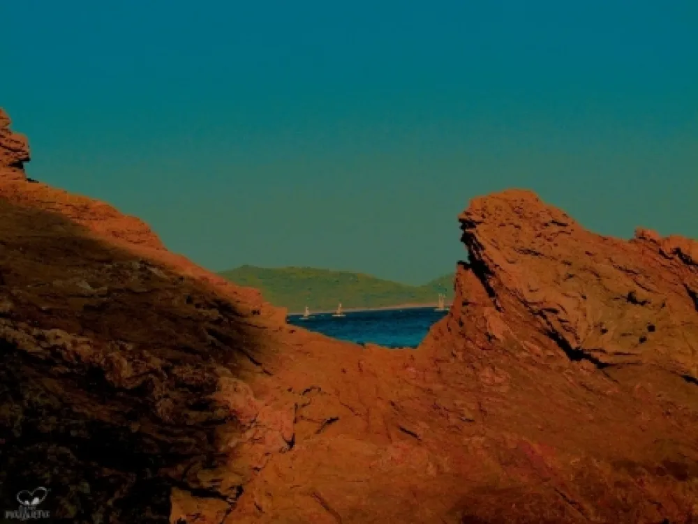 Fotografia Bohorquez - Rocosas