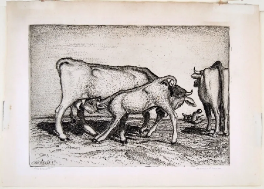 Gravura Bozzetti - LA VACCA E IL BOCCINO (The cow and the calf), fourth version. 