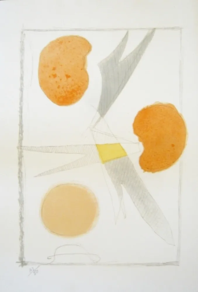 Litografia Braque - Tirée de La liberté des mers