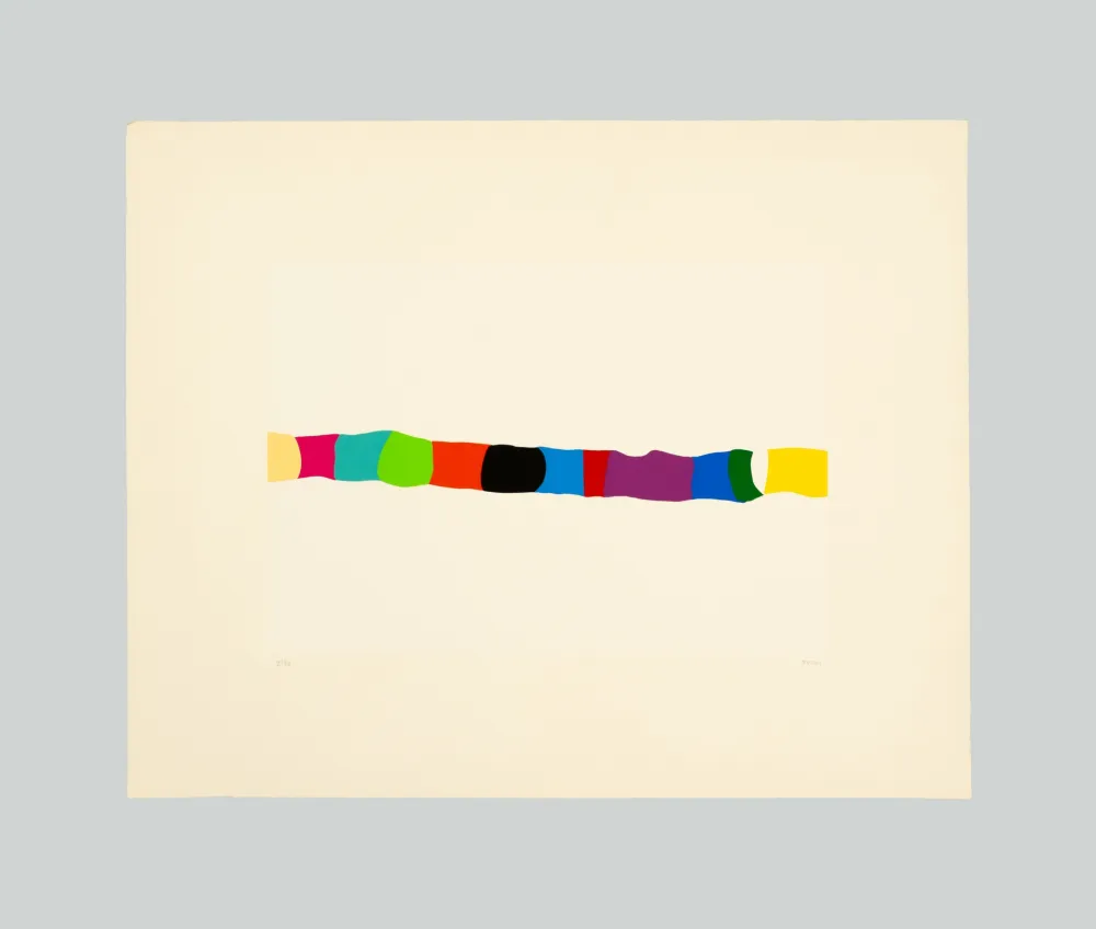 Serigrafia Burri - Serigrafia 2-C