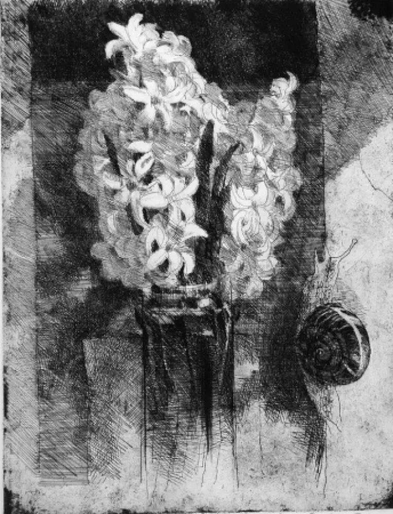 Água-Forte Calandri - Giacinti