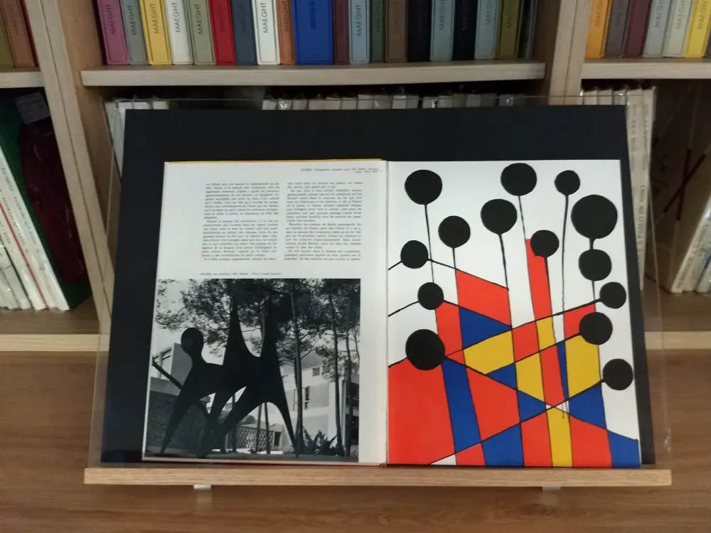 Litografia Calder - No 37
