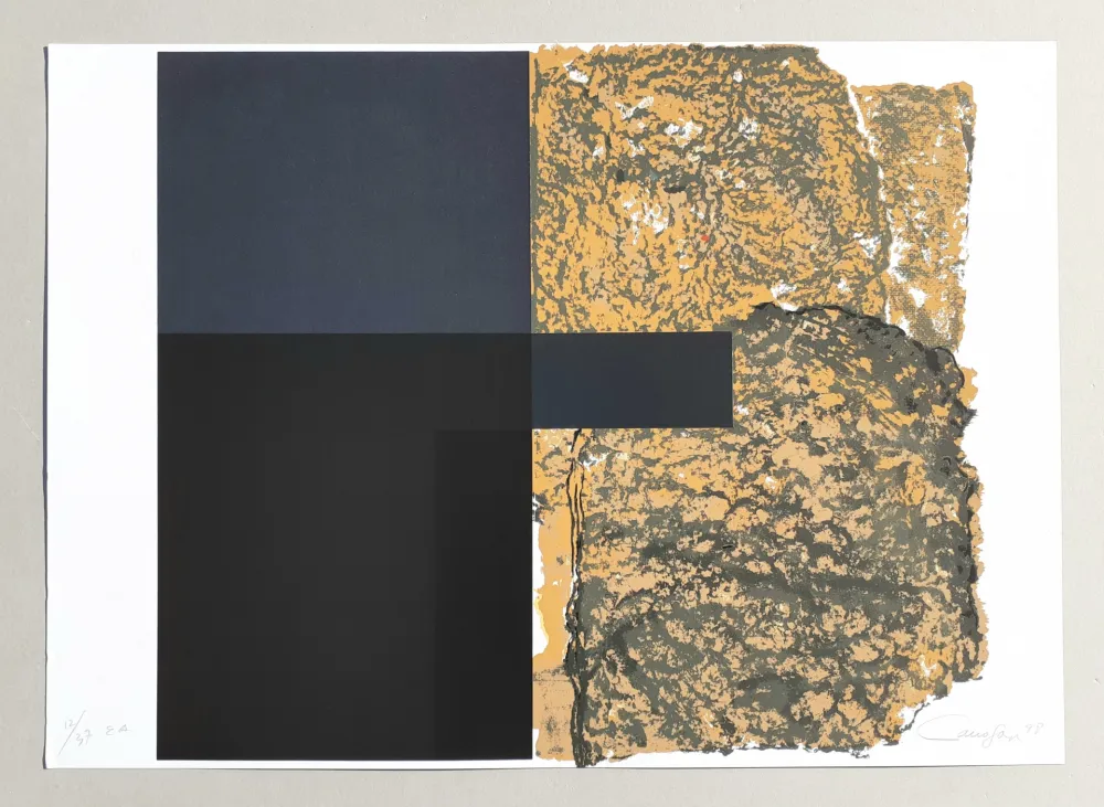 Serigrafia Canogar - Composizione