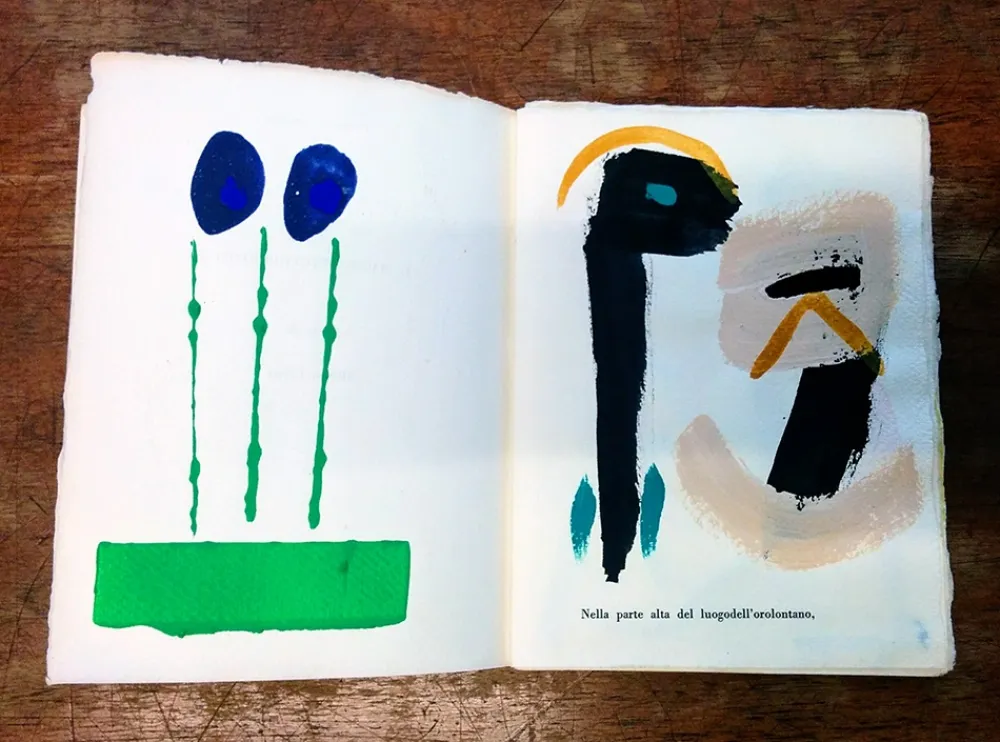 Livro Ilustrado Cascella - Il Magocostruttordivoli