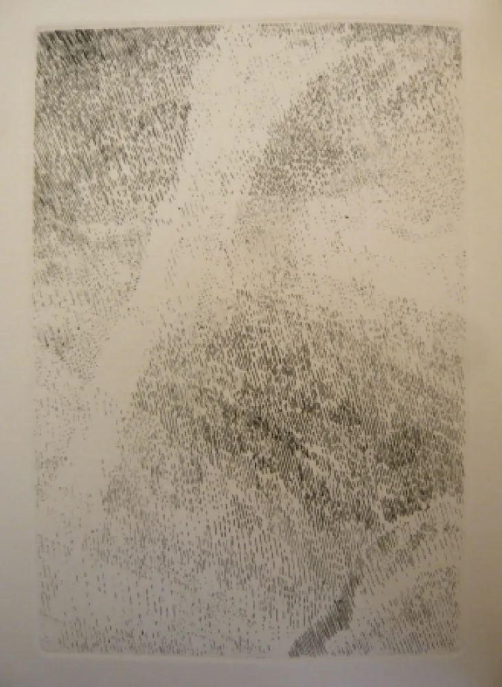 Livro Ilustrado Celan Lestrange - Protocole