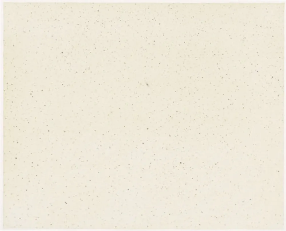 Múltiplo Celmins - Night Sky 1 ( Reversed )