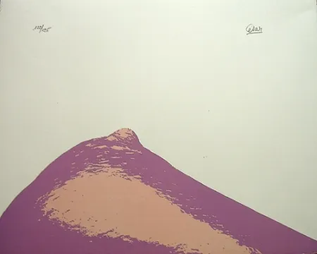 Litografia Cesar - Senza titolo,