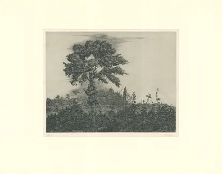 Gravura Coester - Einzelner Baum