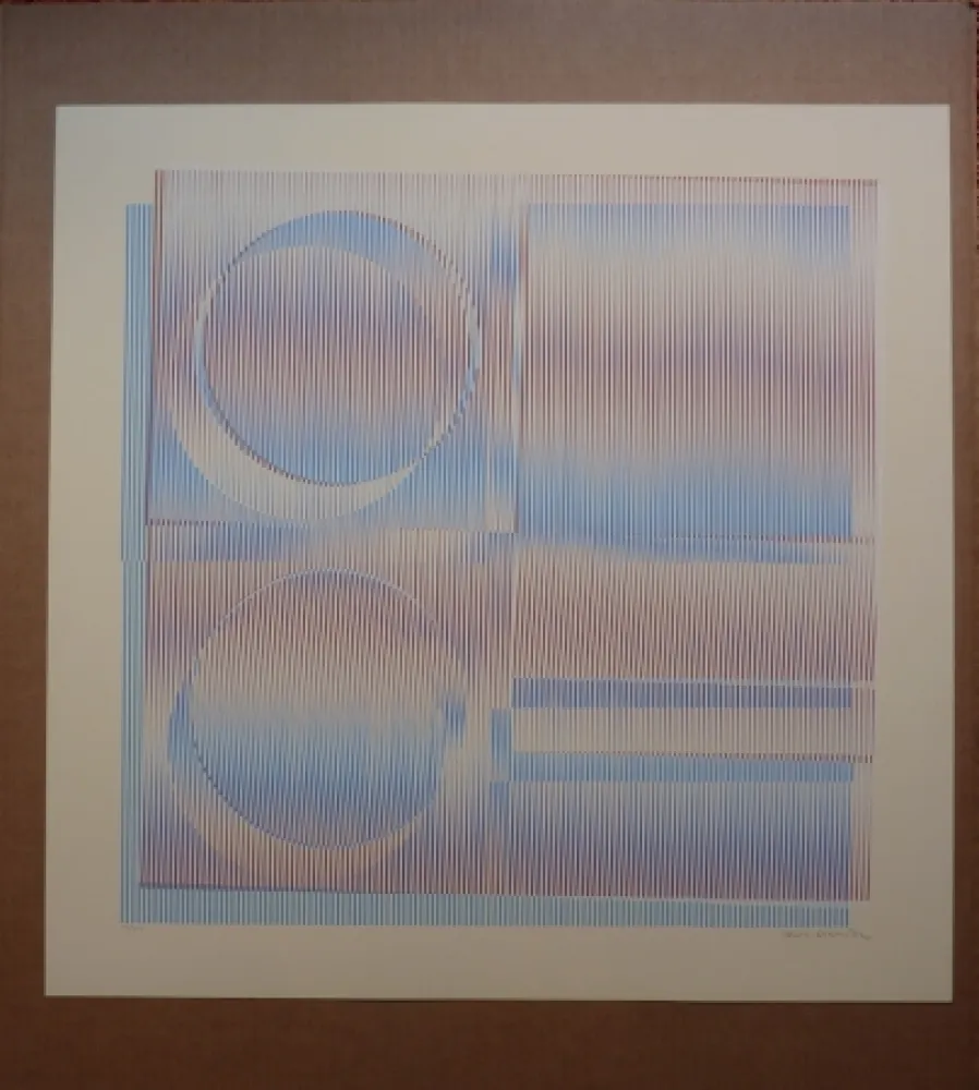 Serigrafia Cruz-Diez - Physichromie