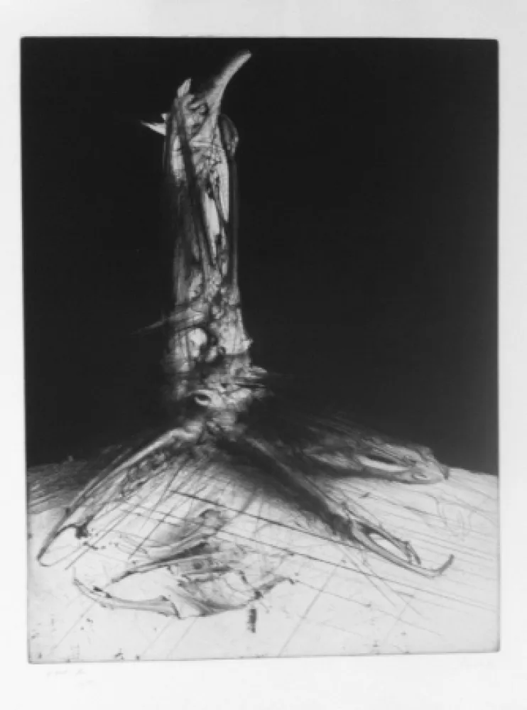 Gravura Dado - Sans titre