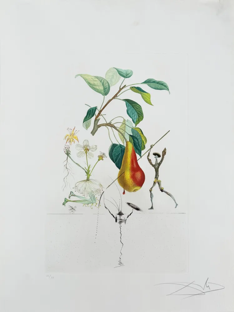 Litografia Dali - Don Quixote Pear from Flordali suite